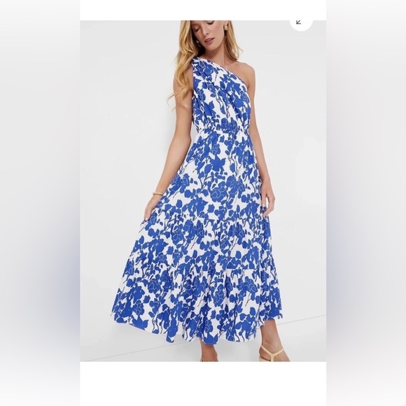 Hyacinth House Sybil Maxi Dress XXS Blue Floral One Shoulder Cotton Lined NWT - Picture 15 of 16